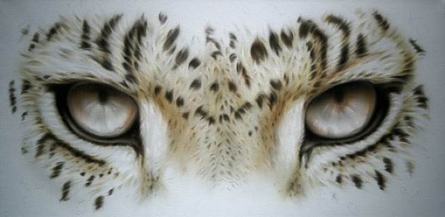 Leopard Eyes :: Adam Scott  Rote