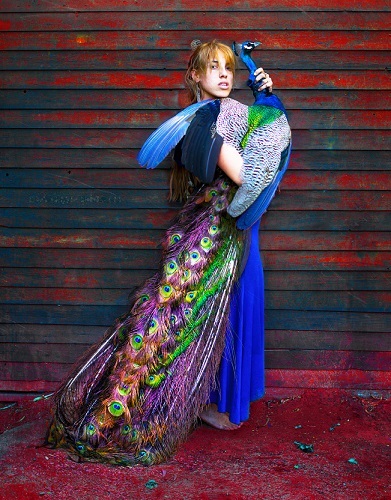 Girl With A Peacock :: Shlomi  Nissim