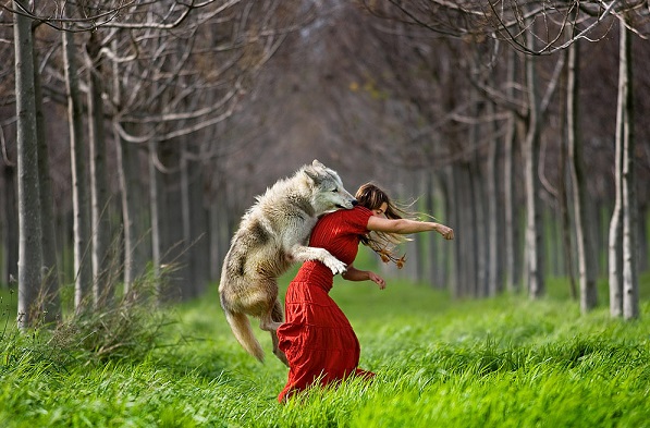 Little Red Riding Hood :: Shlomi  Nissim